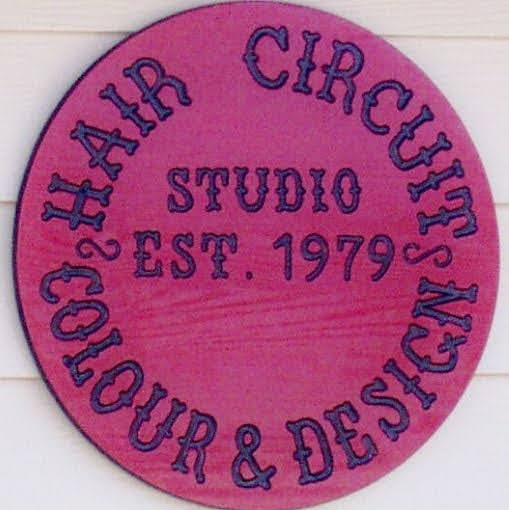Hair Circuit Colour & Design Studio logo
