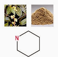 CHIẾT XUẤT VỎ CÂY MUIRA PAUMA PTYCHOPETALUM OLACOIDES CHIẾT XUẤT VỎ CÂY MUIRA PAUMA PTYCHOPETALUM OLACOIDES