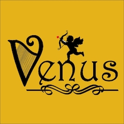 Venus Hair & Beauty logo