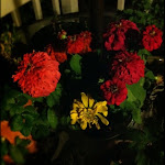 Scrapbook photo 3