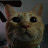 dana wilson avatar image