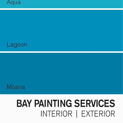 Bay Painting Services Ltd logo