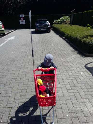 AD Delhaize Zottegem