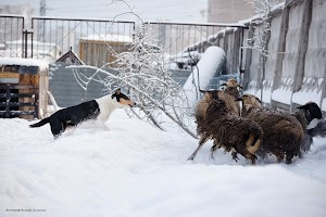 Марго