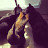 Amee Rech avatar image