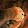 Jack Frost Jack Frost's profile photo