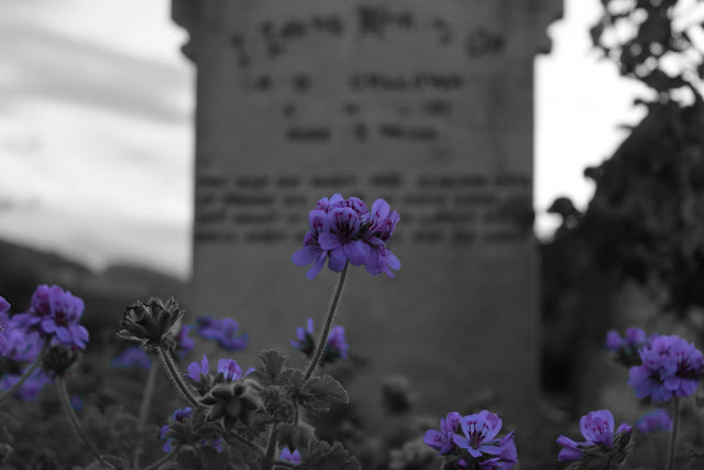 IMAGE: https://lh4.googleusercontent.com/-IZaQV-jUyM4/Tq-rVtJuO2I/AAAAAAAAAcw/kkIEF2aZ4YU/s640/Pauatahanui%252520splash.jpeg