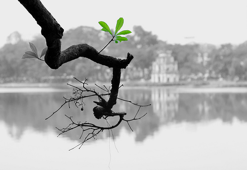 Những bài thơ tình yêu Hà Nội mùa Đông hay nhất Thơ nhớ mùa đông ở Hà Nội