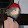 kristof Leray kristof Leray's profile photo