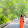 Gargi Styles Gargi Styles's profile photo