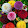 Toti Toti Toti Toti's profile photo