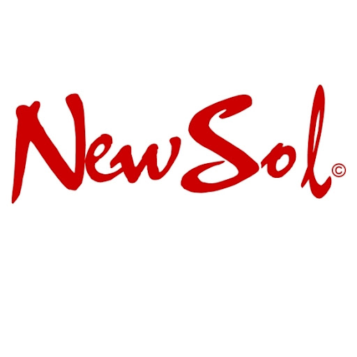NewSol Automotive parts logo
