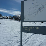 Mount Piper Trail sign (301354)