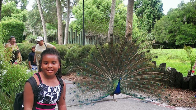 Cover photo
