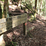 GNW sign on the Lyrebird Trail (58826)