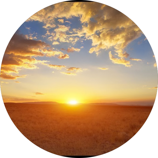 88desertsun