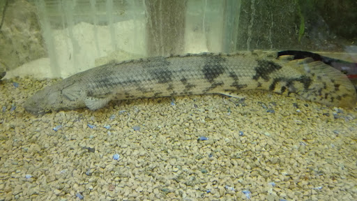 ZOO Yotsuya