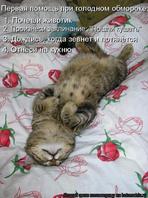 Ни дня без улыбки. Мужчине, конечно, проще… Ни дня без улыбки. Мужчине, конечно, проще…