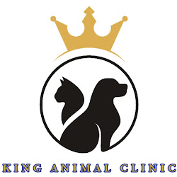 Kingvet - logo