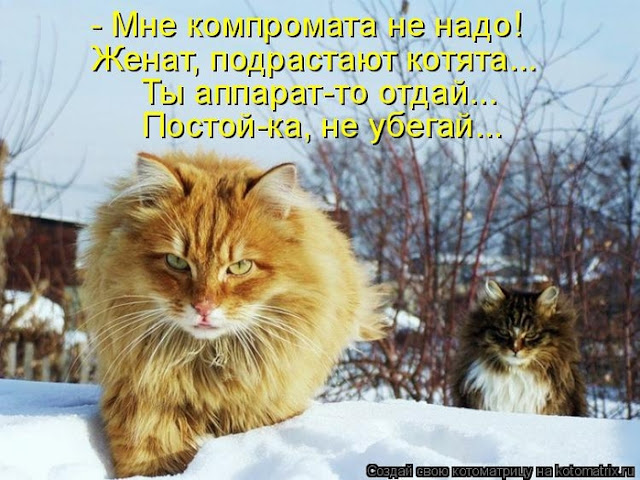Ни дня без улыбки. Обо всём понемногу… Ни дня без улыбки. Обо всём понемногу…