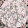 Bailey Steele Bailey Steele's profile photo