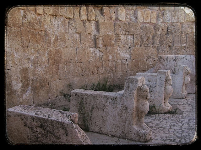 Senderismo en Petra y Wadi Rum - Blogs de Jordania - La Ciudad Romana De Jerash (19)