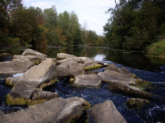 IMGP3977.JPG