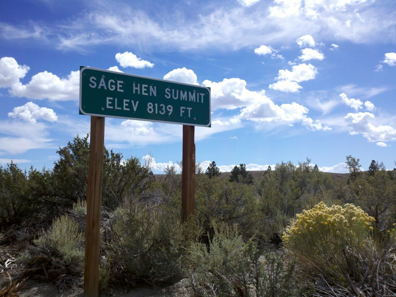 Mammoth Gran Fondo • Sage Hen Summit