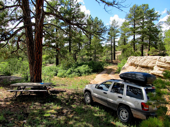 Super sweet lunch spot at the head of Bullpup Canyon, south of Monticello