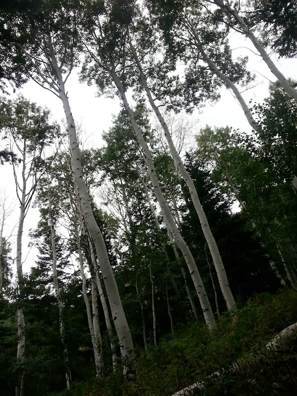 20130908_133625.jpg