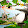Teus Oosterwijk Teus Oosterwijk's profile photo