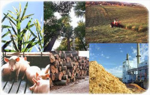 Biomass And Waste Conversion Technologies