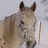 Ealasaid Òlaind avatar image