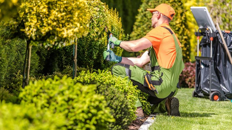 Landscapers are responsible for transforming outdoor spaces into beautiful, functional areas that families, businesses, and communities alike can enjoy. They create aesthetic designs by planting flowers, shrubs, and trees while also considering the environmental conditions.
