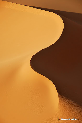 Sahara libico 1258