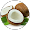 lapak kelapa