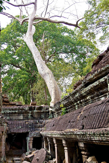 Ангкор перезагрузка, или как я побывал в храме держателей солнца (фото)