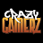 Crazy Gamerz review