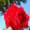 Fatinha Maria Fatinha Maria's profile photo