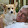 B Meissner B Meissner's profile photo