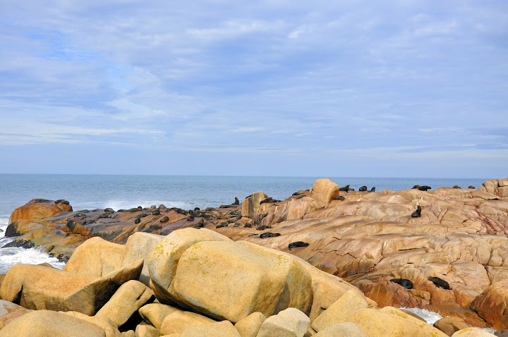 COSTA ATLÁNTICA 4: CABO POLONIO - URUGUAY, IGUAZU, MISIONES y BUENOS AIRES (11)