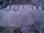 IMG_20130110_063512.jpg