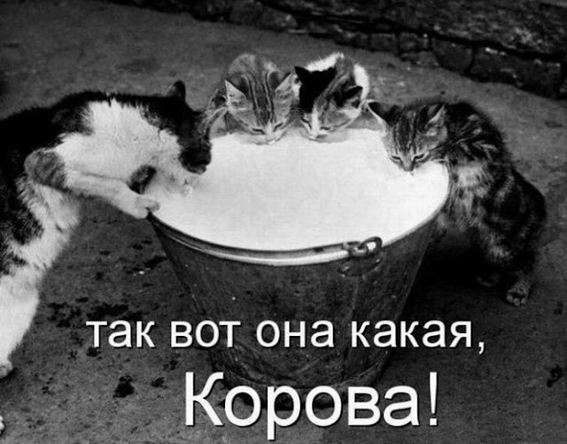 Ни дня без улыбки. Подари мне солнце… Ни дня без улыбки. Подари мне солнце…