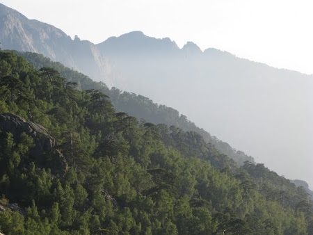 Paysage typique Corse et Brume