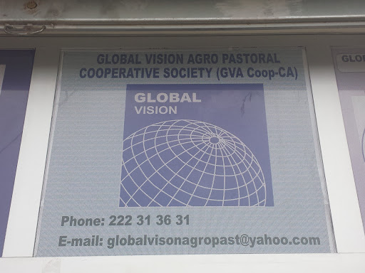 Photos of GLOBAL VISION "TRAVELS"