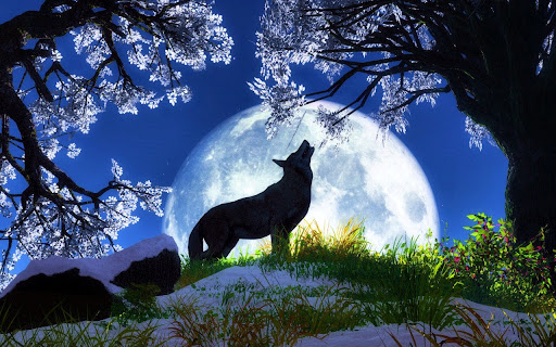 wallpaper animals 3d wallpaper animals