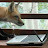 Sarah Rose avatar image