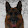 Alex Müller Alex Müller's profile photo