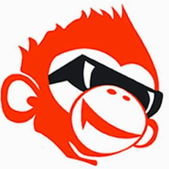 Online Marketing Monkey - SEO bureau