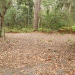 Looking to the Horse track from Graves Walk (227179)